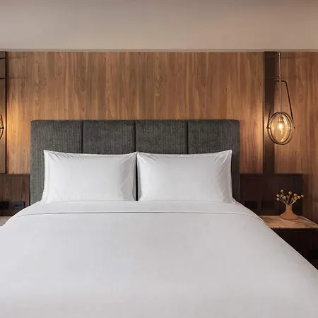 Ovolo Sydney Woolloomooloo, A Wyndham Hotel-2