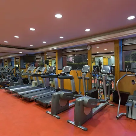 Sheraton New Delhi Hotel-2