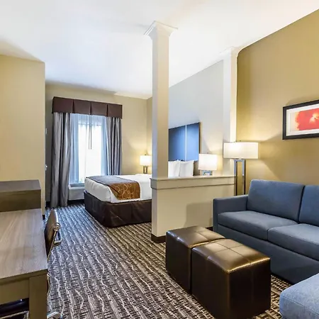 Comfort Suites Near Sam Houston Race Park-3