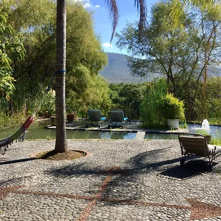 Los Naranjos Hotel Boutique-3