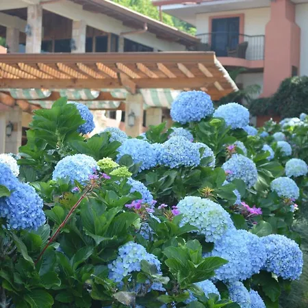 Finca Paraiso Mountain Retreat Near San Jose Airport-3