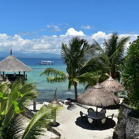 Dolphin House Resort Moalboal-2