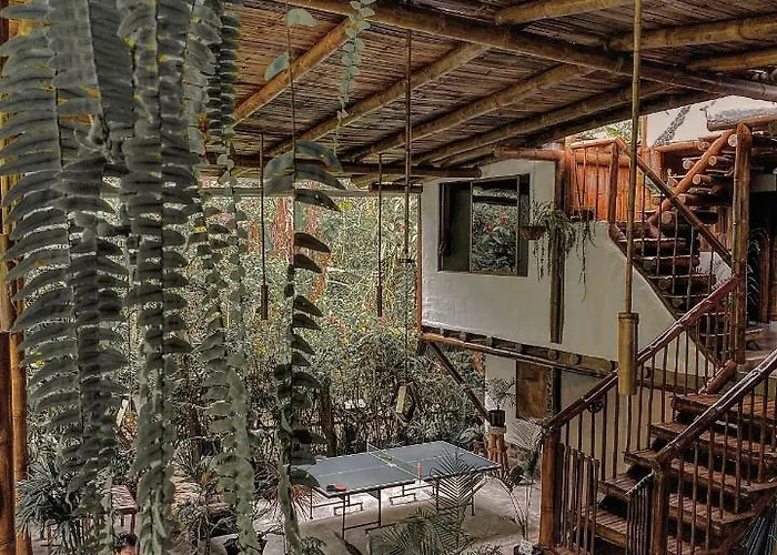 Cinnamon House