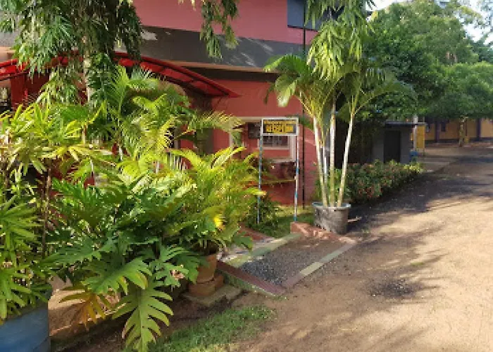 Whispering Palms Resort-Guest Room