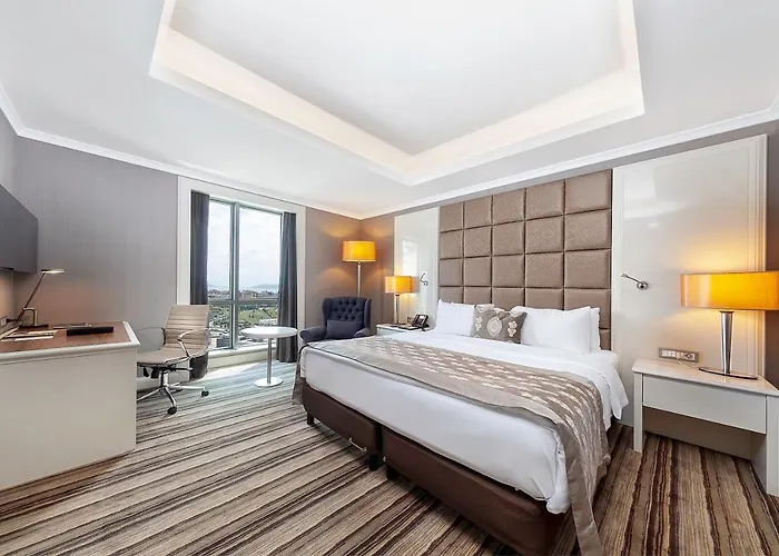 Dedeman Bostanci & Convention Center