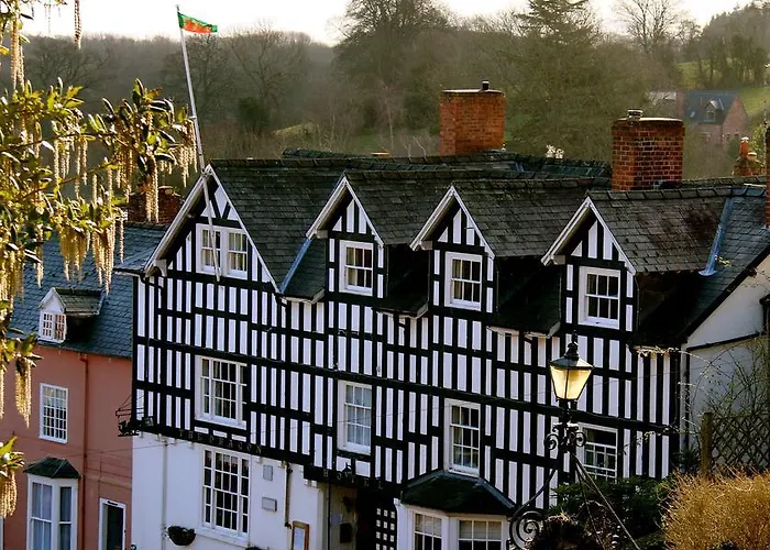 The Dragon Hotel