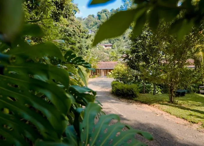 Clove Garden Kandy