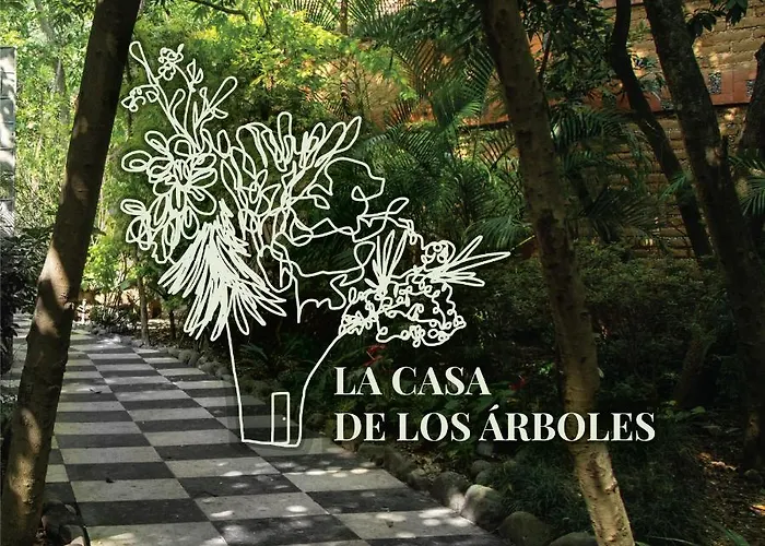Hotel La Casa de los Árboles Immersive Experience