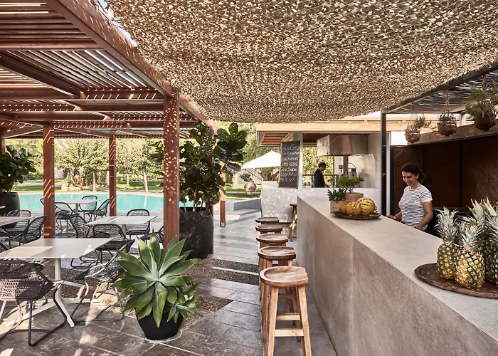 Phaea Cretan , A Member Of Design s