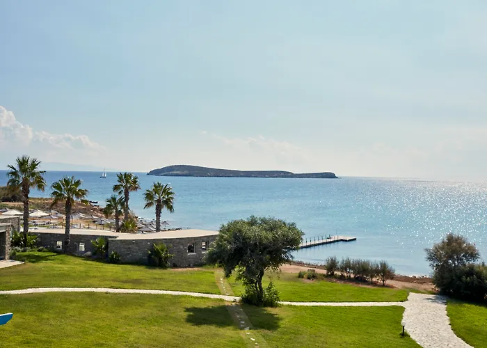 Poseidon Of Paros Hotel & Spa Chrisi Akti 