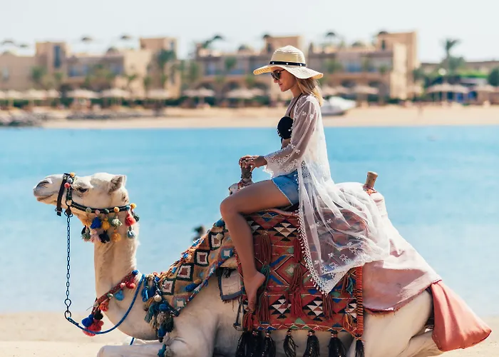 Desert Rose Hurghada