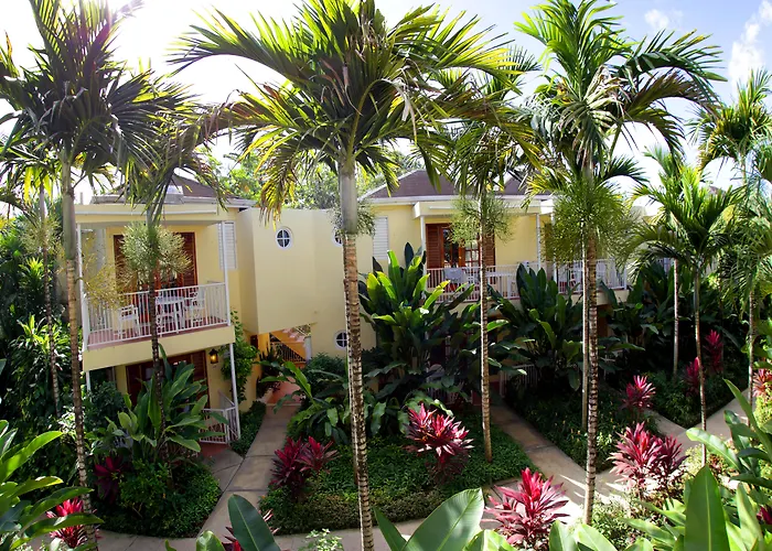 Negril Palms