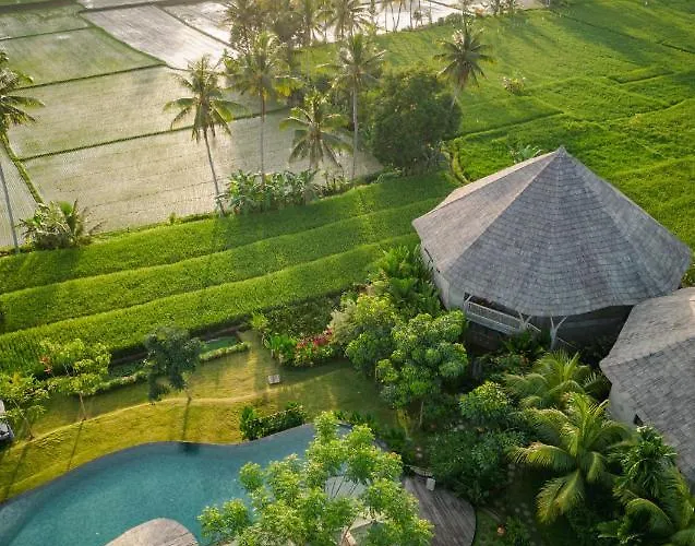 Thewakanda A Pramana Experience