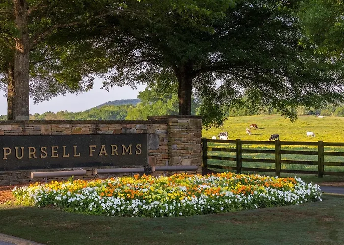 Pursell Farms