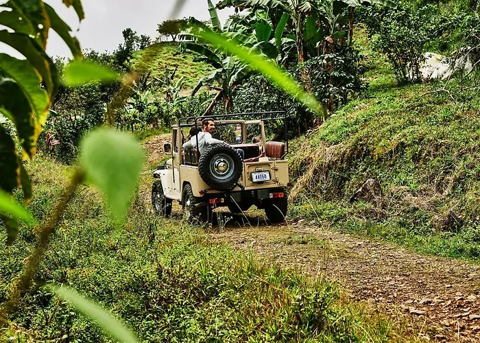 Hacienda Altagracia, Auberge Collection