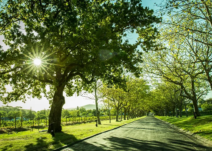 Lanzerac Hotel & Spa Stellenbosch