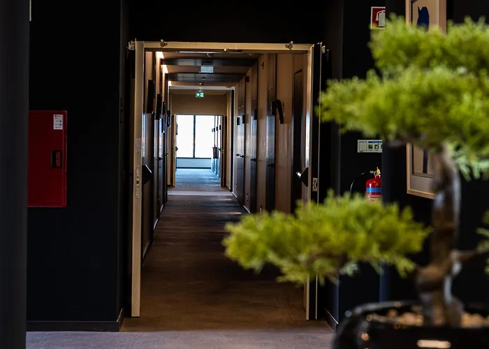 Mw Douro Wine & Spa