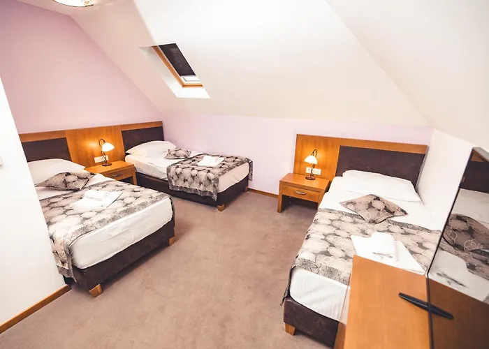 Etno Selo Stanisici Hotel Leonida