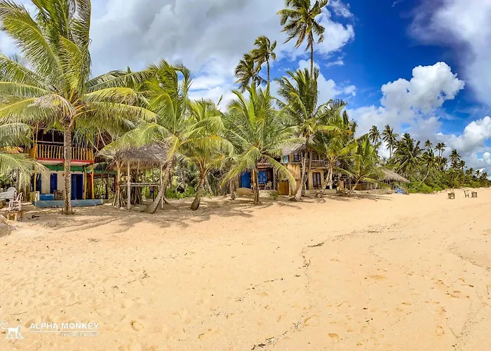 The Alpha Monkey Hotel & Tree House