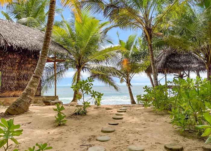 The Alpha Monkey Hotel & Tree House
