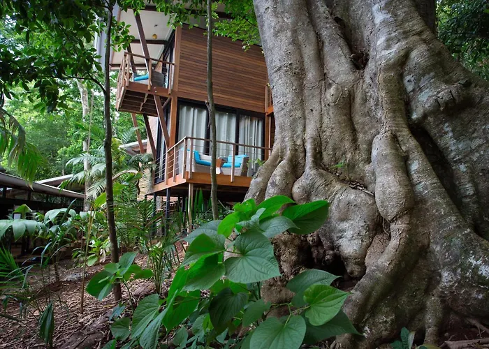 The Resort At Isla Palenque Member Of The Cayuga Collection
