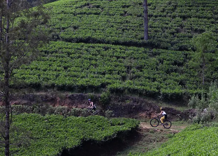Heritance Tea Factory (Adults Only) Nuwara Eliya