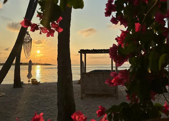 Samura Maldives Guest House Thulusdhoo