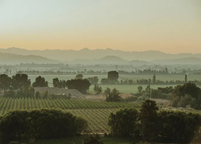 Palcos de Apalta