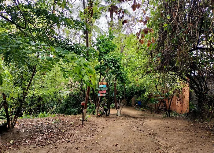 Cabañas La Escondida Mazunte