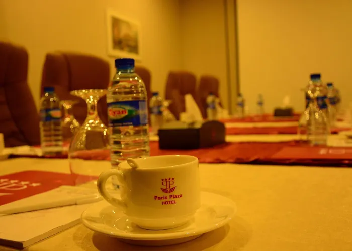 Paris Plaza Hotel