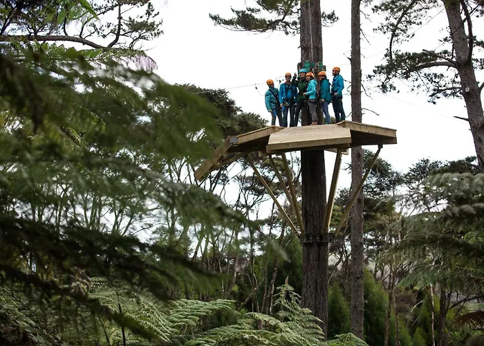 Tasman Holiday Parks - Coromandel