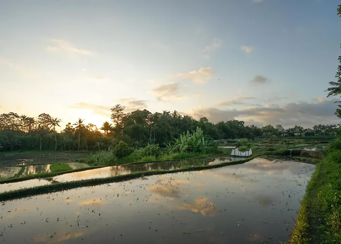Ubud Art Resort