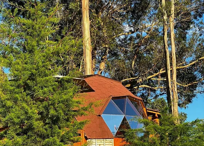 Glamping Shalom