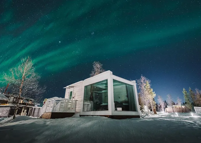 Northern Lights Ranch Levi