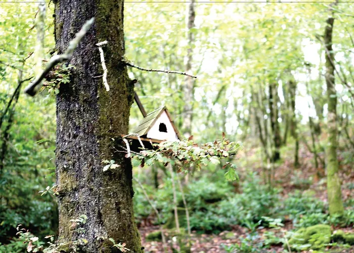 Afon Rhaiadr Country House