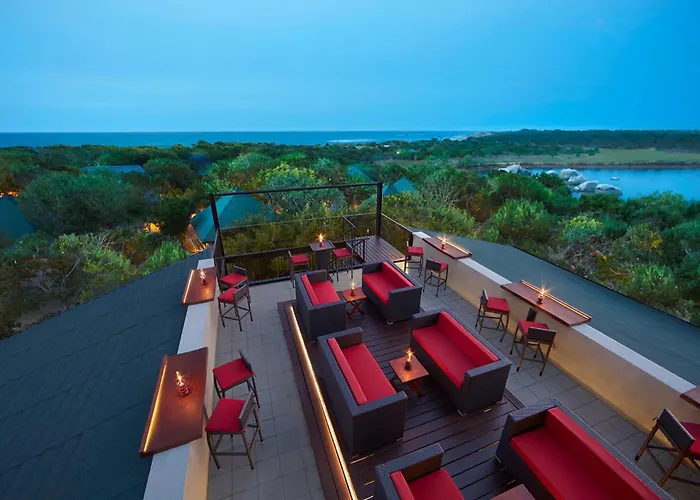 Cinnamon Wild Yala
