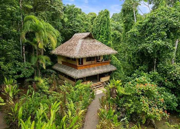 Copa De Arbol Beach & Rainforest Resort
