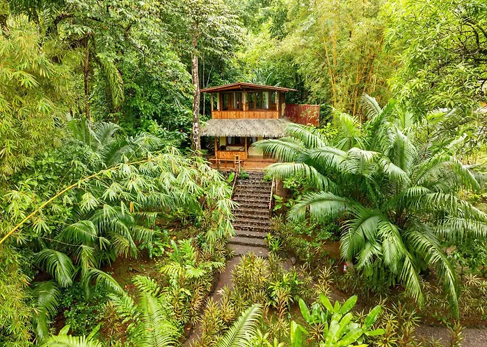 Copa De Arbol Beach & Rainforest Resort