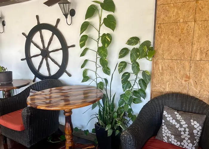 Cabo Tortuga Hotel Boutique