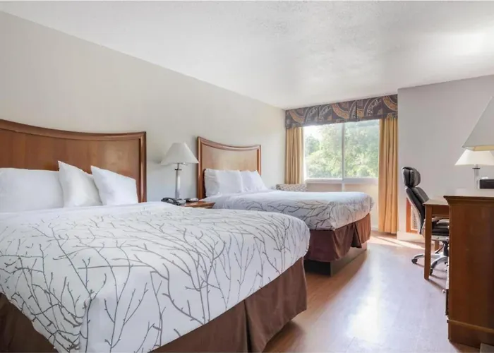 Oyo Hotel Memphis Tn I-40
