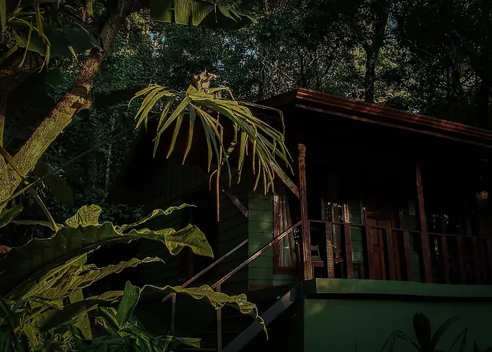 Jaguarundi Jungle Lodge - Monteverde