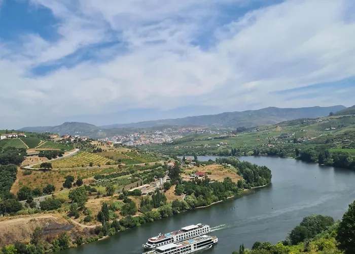 Delfim Douro Hotel
