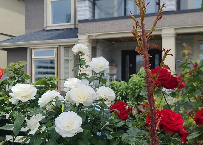 White Rose House