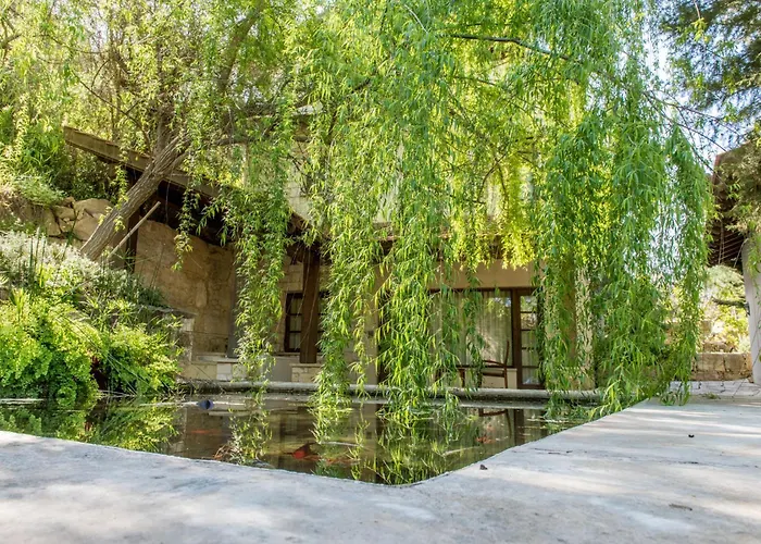 Secret Forest - Wellness Retreat & Healing Spa (Adults Only)