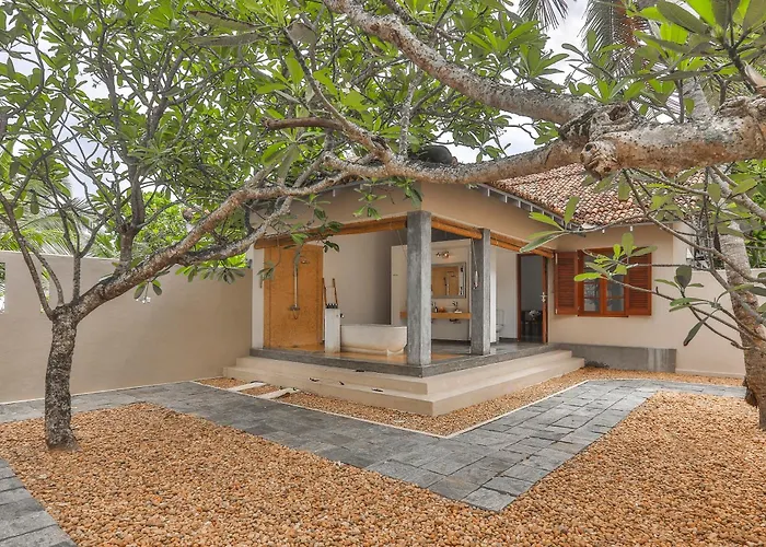 Frangipani Tree By Edwards Collection - Thalpe