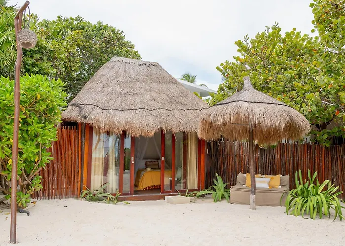 La Zebra , A Small Luxury
