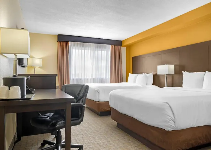 Quality Inn & Suites Bathurst