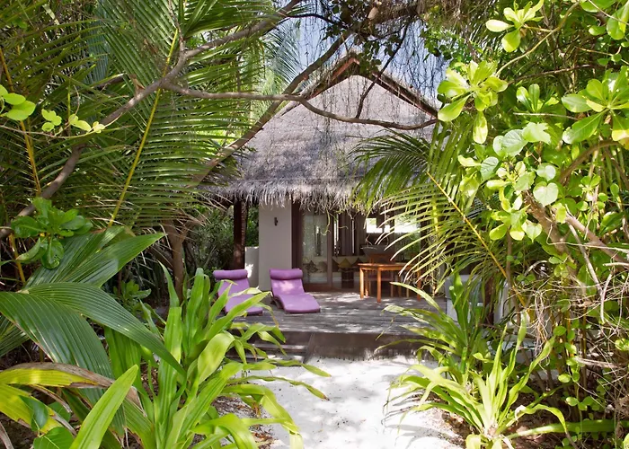Coco Bodu Hithi - Stay 4 Nights Or More And Enjoy 30 Percent Off Shared Roundtrip Speedboat, Valid For Stays Until 31St August 2026