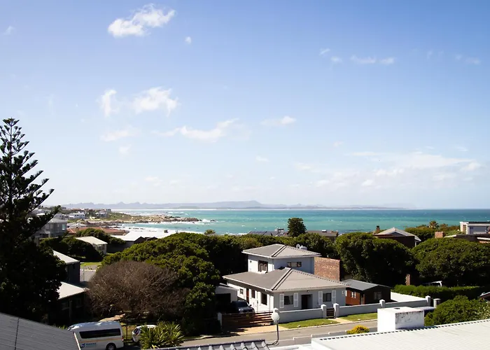 White Shark Guest House