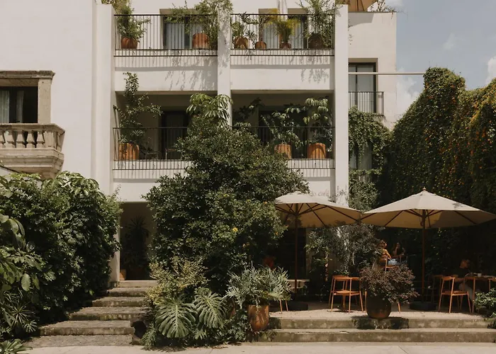 Casa Ofelia
